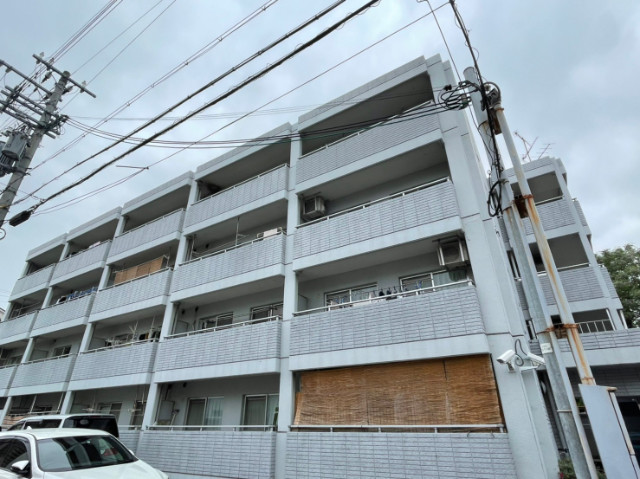 �������ߡ֡׳���