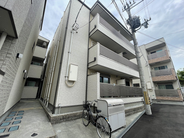 �������ߡ֡׳���