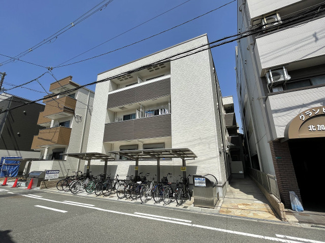 �������ߡ֡׳���