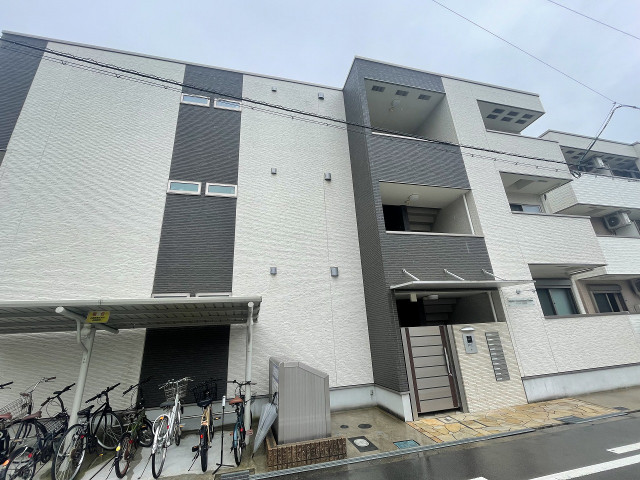 �������ߡ֡׳���