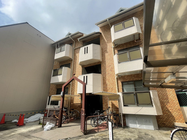 �������ߡ֡׳���