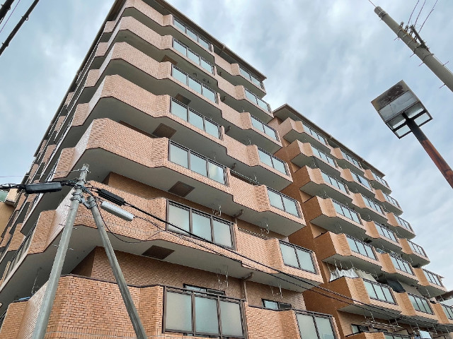 �������ߡ֡׳���