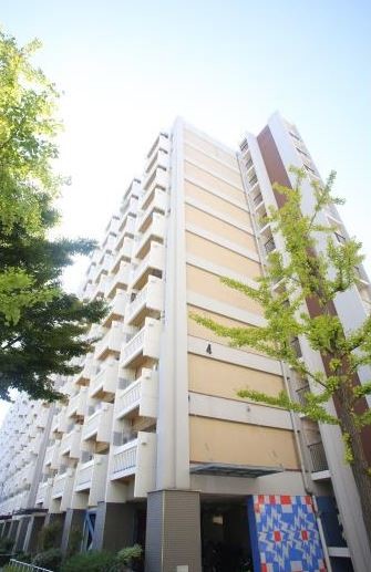 �������ߡ֡׳���