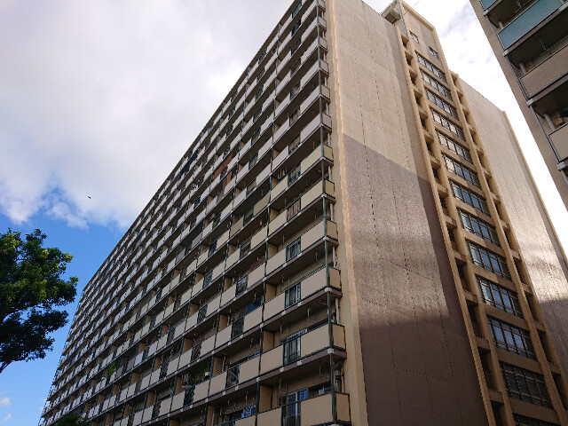 �������ߡ֡׳���