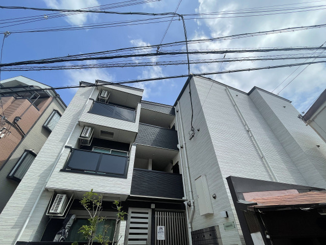 �������ߡ֡׳���