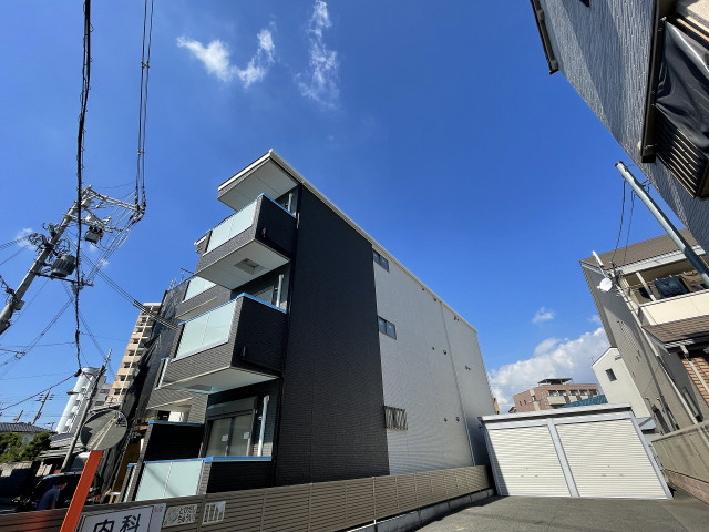 �������ߡ֡׳���