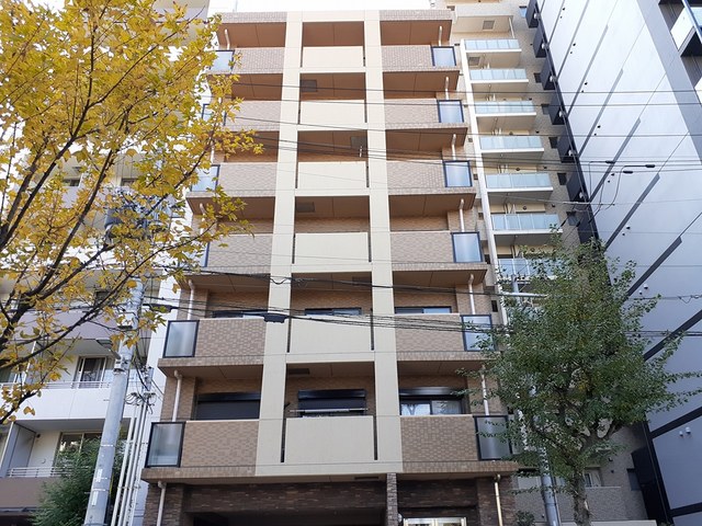 �������ߡ֡׳���