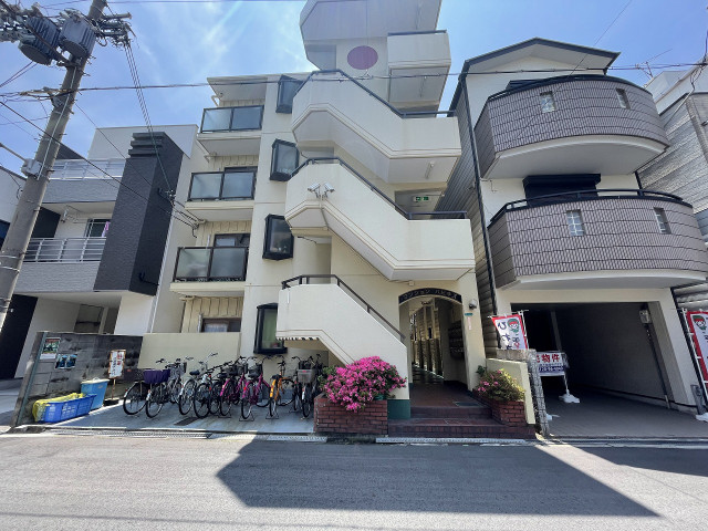 �������ߡ֡׳���