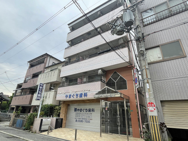 �������ߡ֡׳���