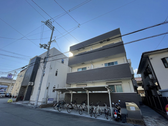 �������ߡ֡׳���