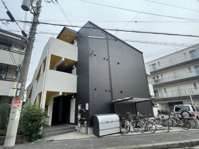 �������ߡ֡׳���