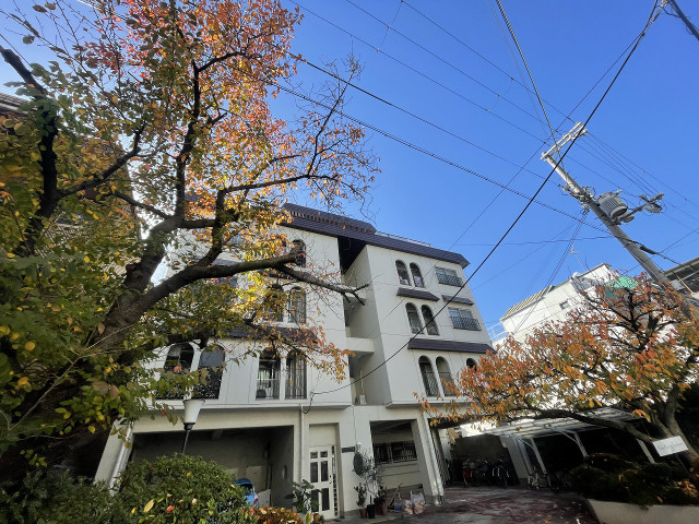 �������ߡ֡׳���