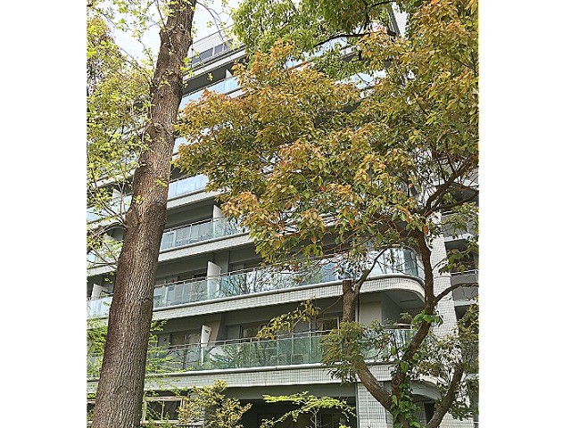 �������ߡ֡׳���