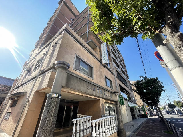 �������ߡ֡׳���