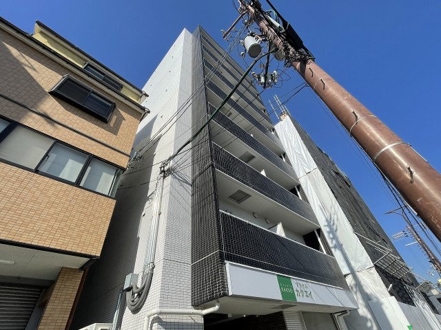 �������ߡ֡׳���