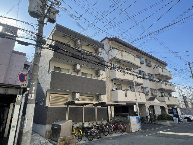 �������ߡ֡׳���