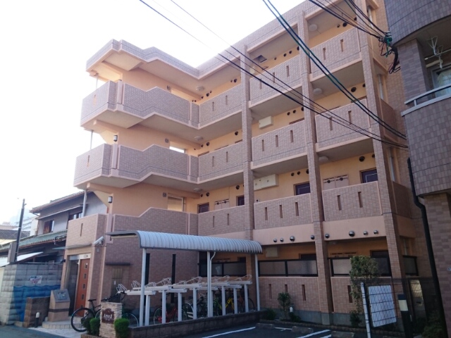 �������ߡ֡׳���