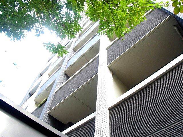 �������ߡ֡׳���