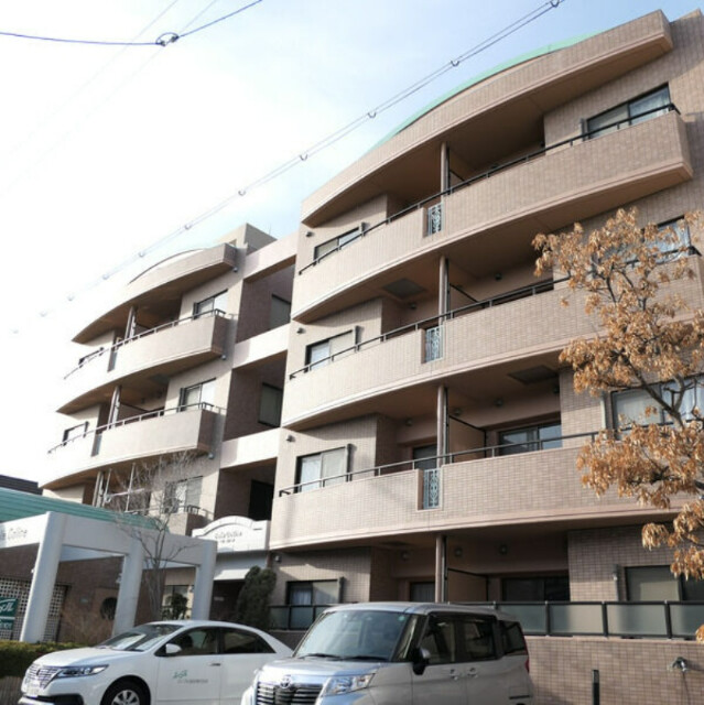 �������ߡ֡׳���