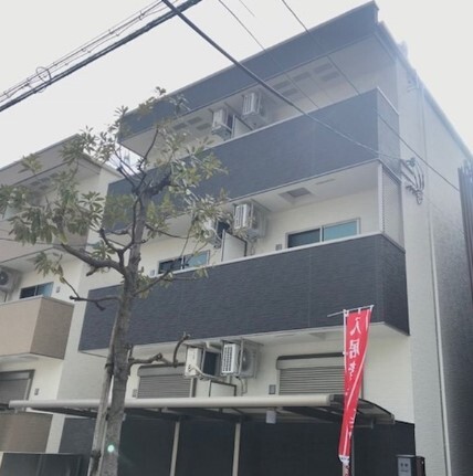 �������ߡ֡׳���