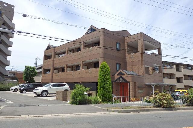 �������ߡ֡׳���