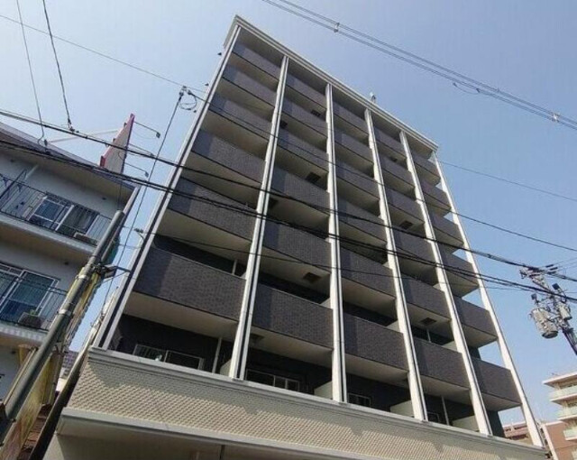 �������ߡ֡׳���