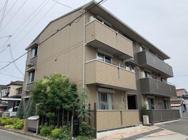 �������ߡ֡׳���