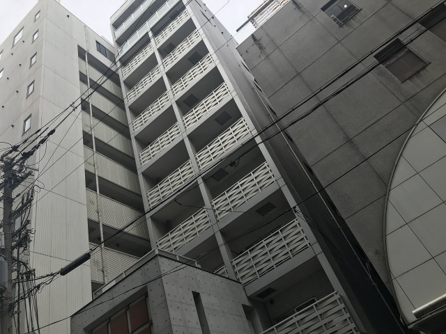 �������ߡ֡׳���