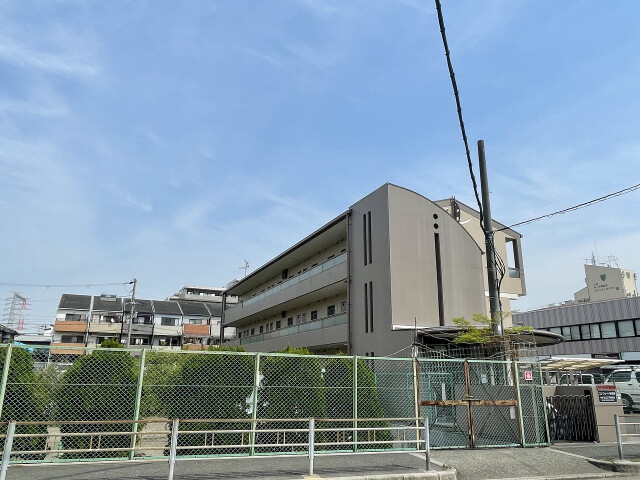 �������ߡ֡׳���