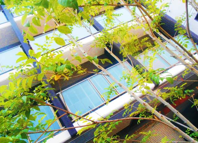 �������ߡ֡׳���