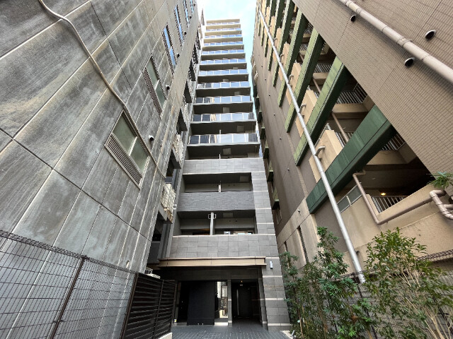 �������ߡ֡׳���