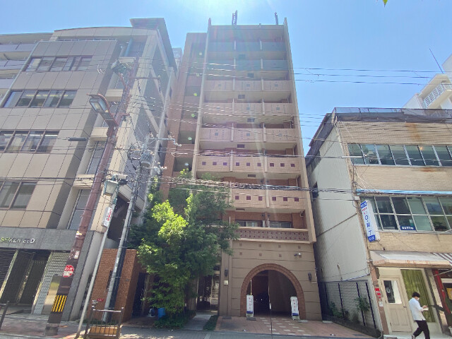 �������ߡ֡׳���