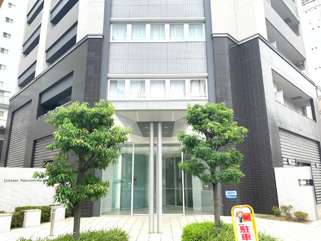 �������ߡ֡׳���