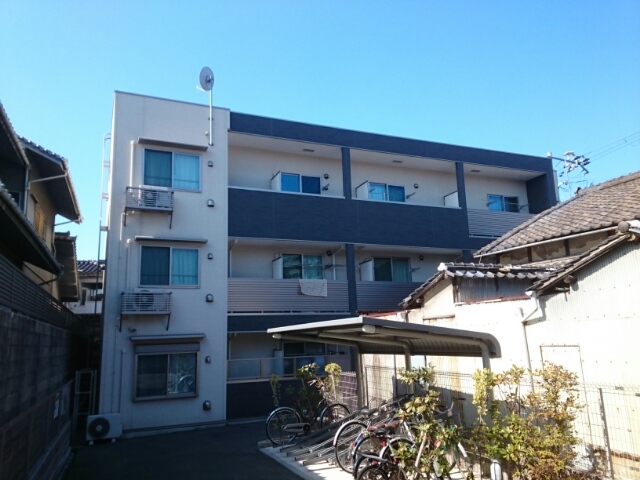 �������ߡ֡׳���