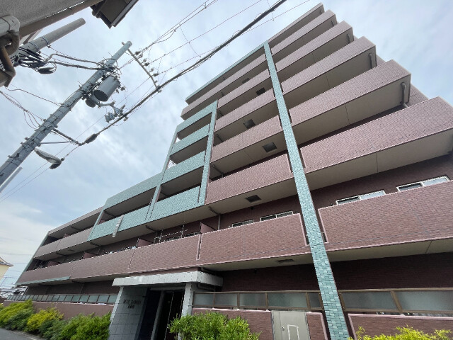 �������ߡ֡׳���