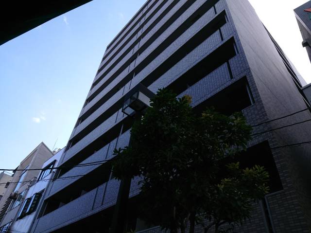 �������ߡ֡׳���