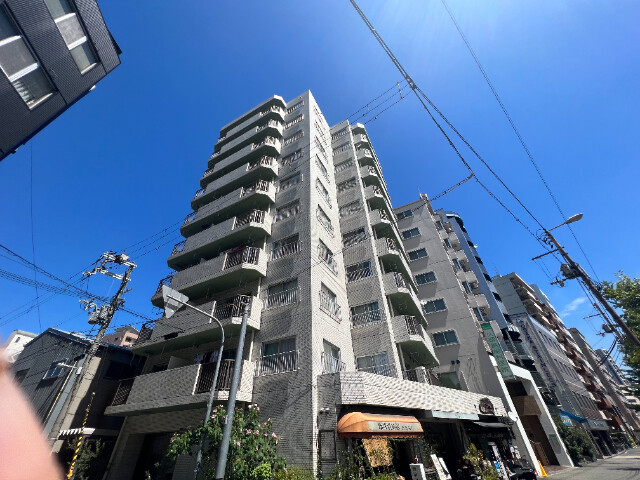 �������ߡ֡׳���