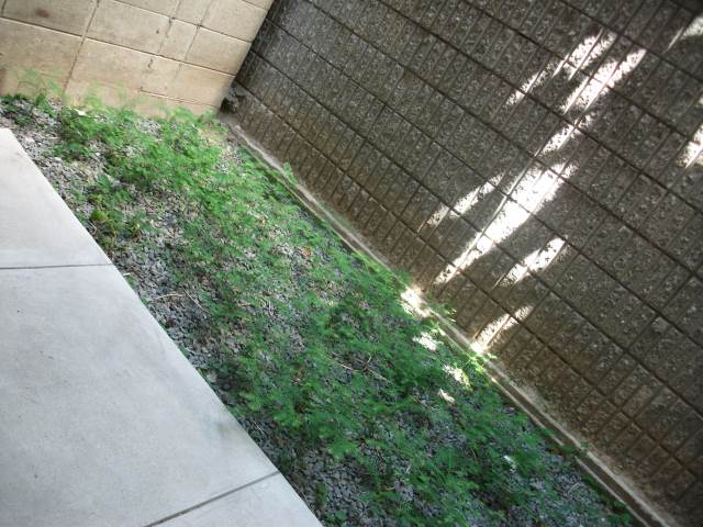 �������ߡ֡׳���