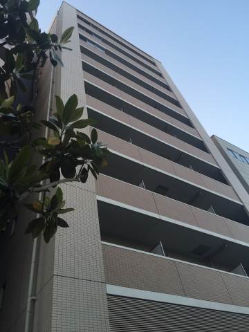 �������ߡ֡׳���