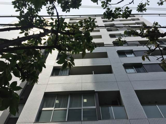 �������ߡ֡׳���