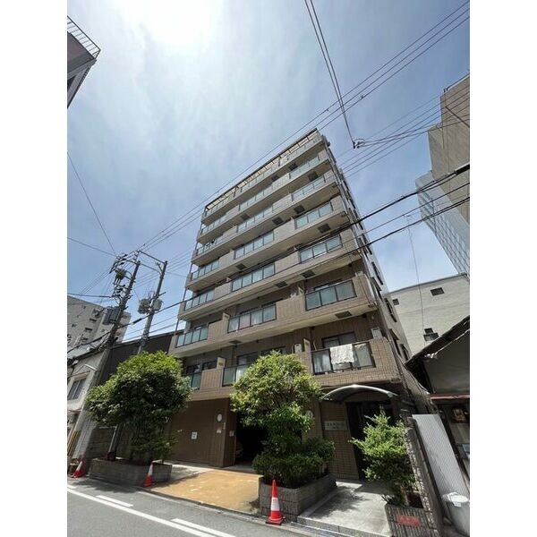 �������ߡ֡׳���