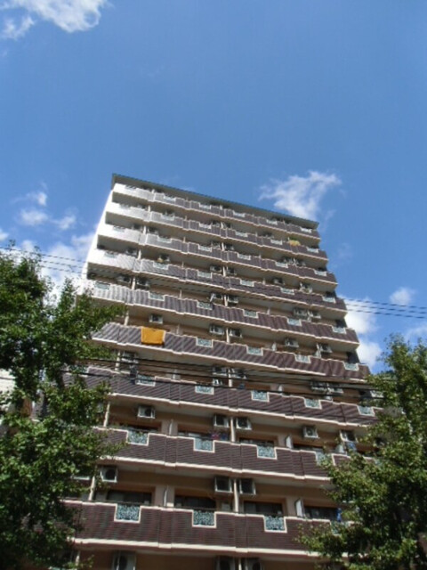 �������ߡ֡׳���