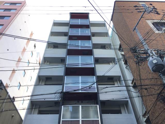 �������ߡ֡׳���