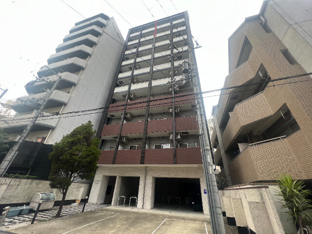 �������ߡ֡׳���