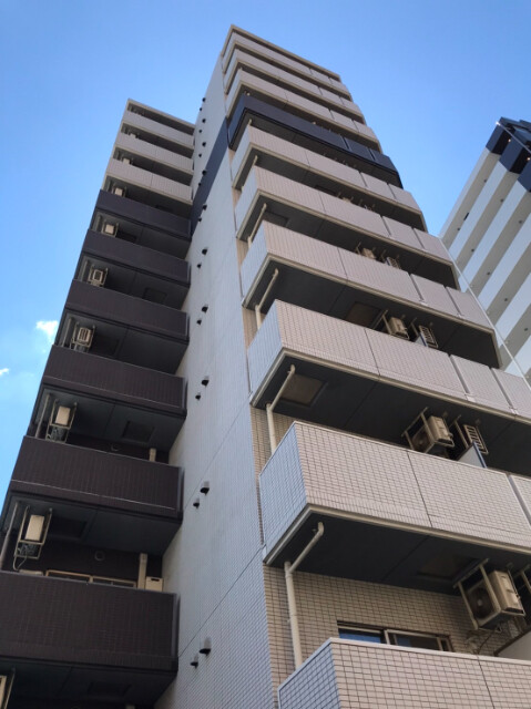 �������ߡ֡׳���