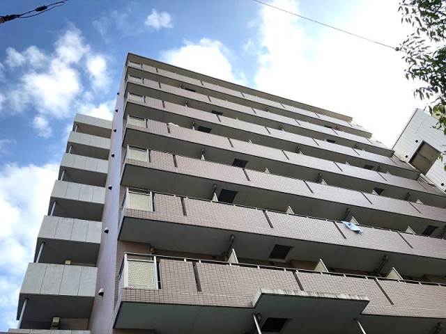 �������ߡ֡׳���