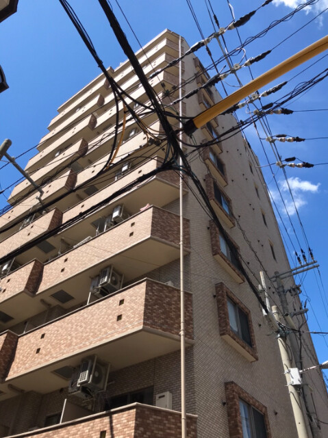 �������ߡ֡׳���