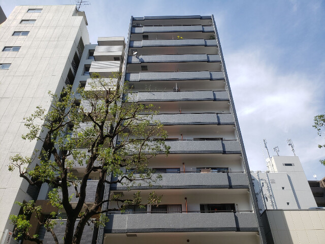 �������ߡ֡׳���