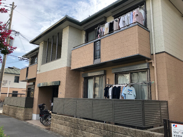 �������ߡ֡׳���