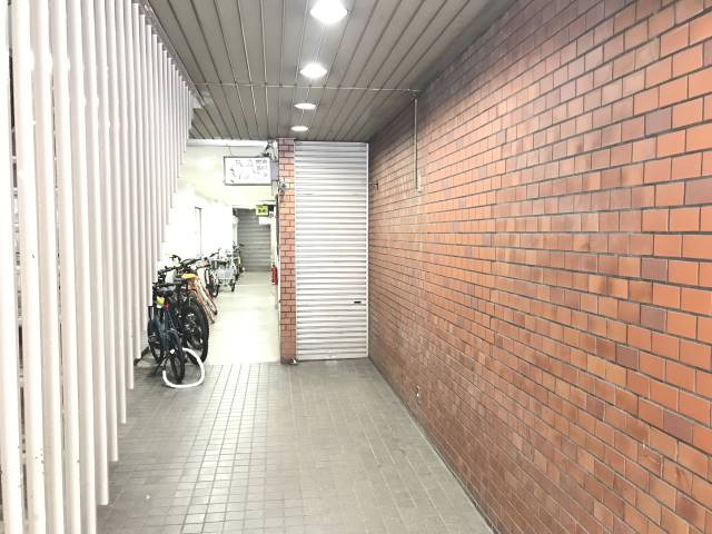 �������ߡ֡׳���